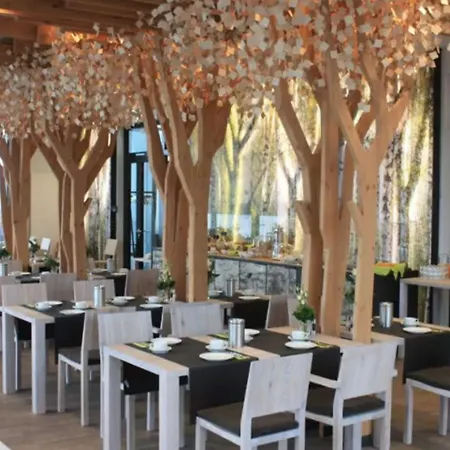 Panorama Aschberg Ascheffel