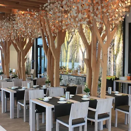 Hotel Panorama Aschberg Ascheffel