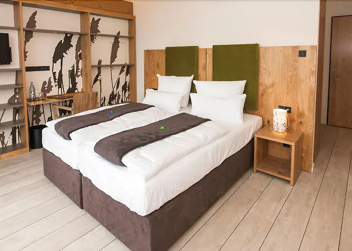 Panorama Aschberg 3* Ascheffel